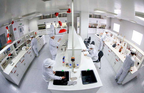 中國(guó)恩菲 新能源金屬基礎(chǔ)材料產(chǎn)業(yè)鏈技術(shù)體系開(kāi)發(fā)與應(yīng)用