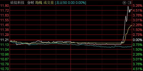 北交所震蕩調整 逾百股下挫，技術開發板塊承壓——以n鴻智超14%領跌為例